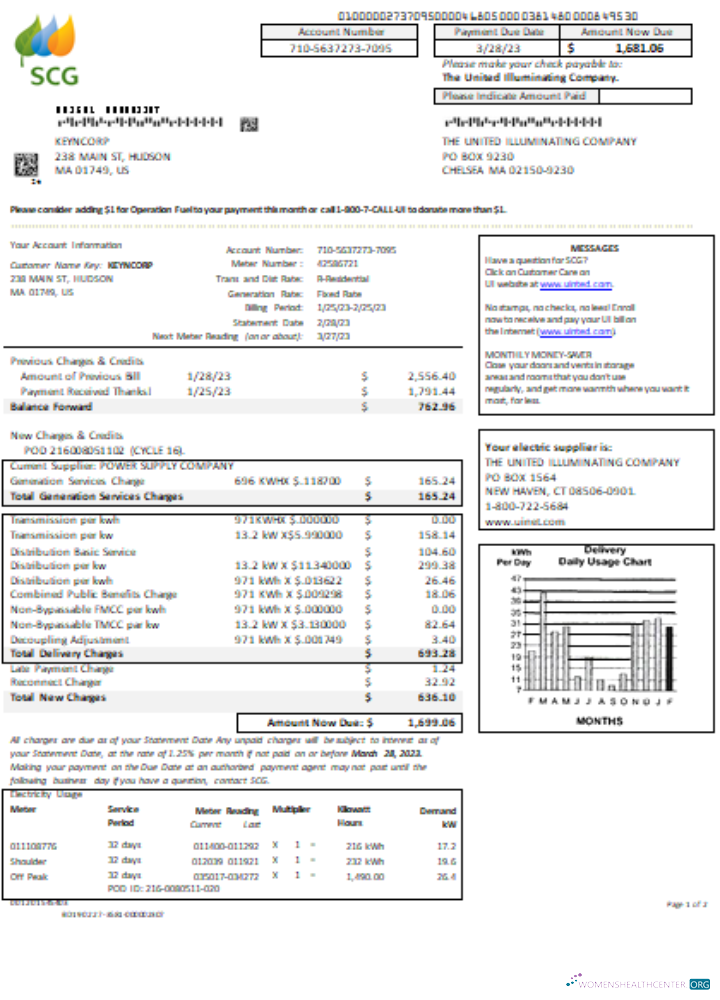 Massachusetts Chelsea SCG The United Illuminating Company utility business bill SCR, page 1